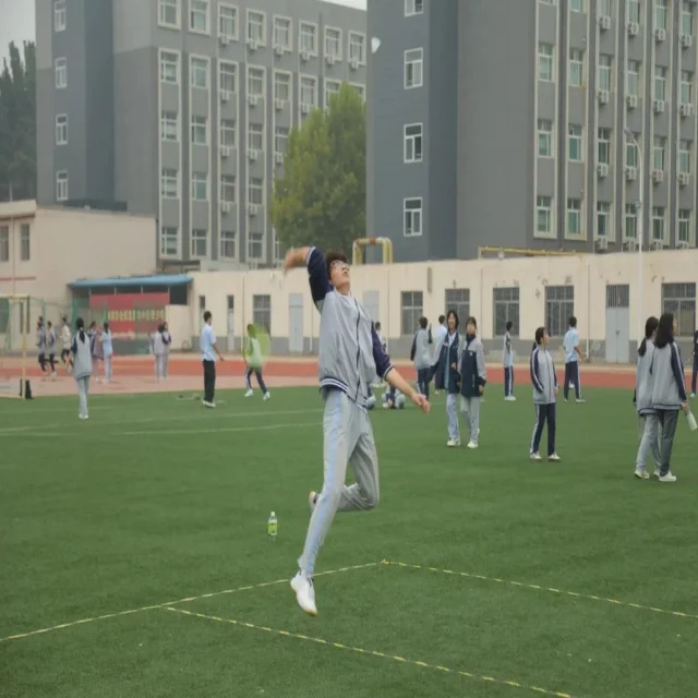辽宁队季后赛关键因素解析